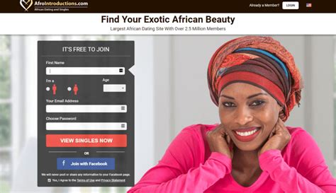 afro dating website|www.afrointroductions.com.